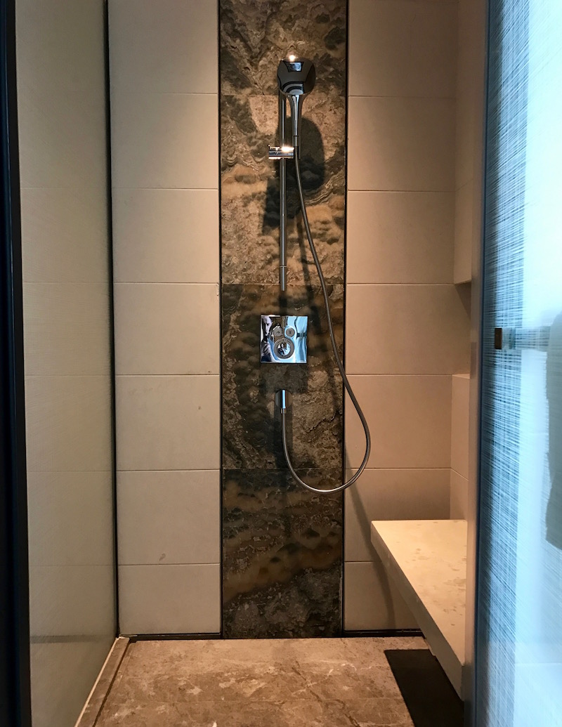 Large Walk-In Shower 