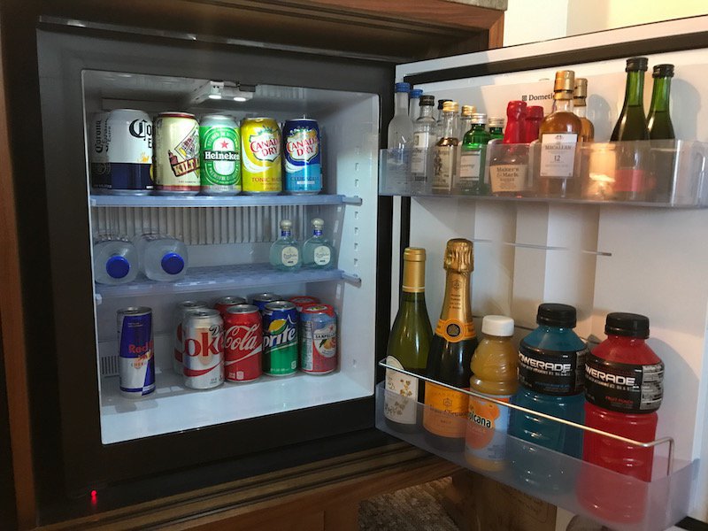 Well-Stocked Fridge 