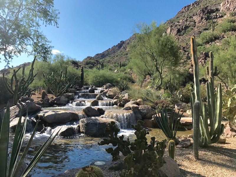 Canyon Suites Resort Water Feature 