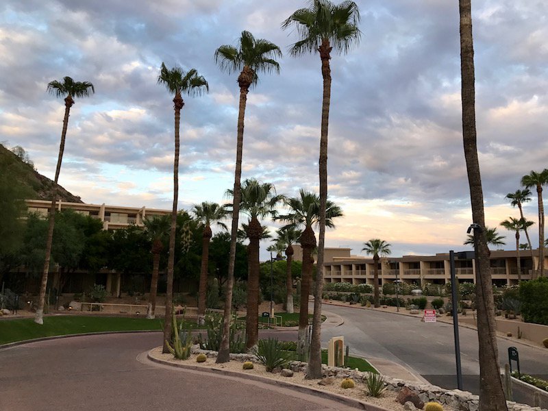 The Phoenician Resort 