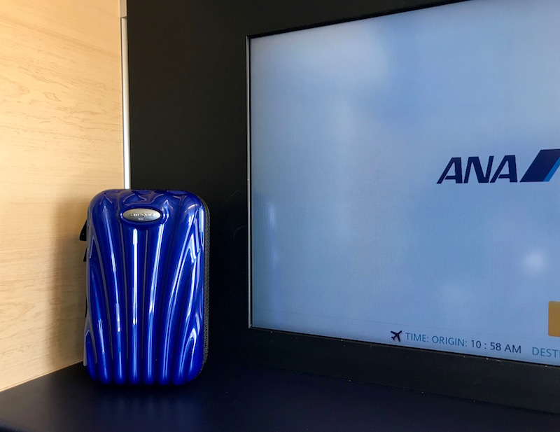 Samsonite Amenity Kit