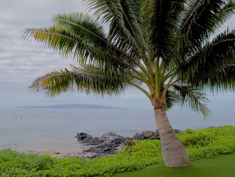 Marriott Wailea Beach Resort Oceanfront